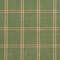 Green Plaid Linen Look Woven Pattern Upholstery Fabric by The Yard - SKU: Holly Juniper